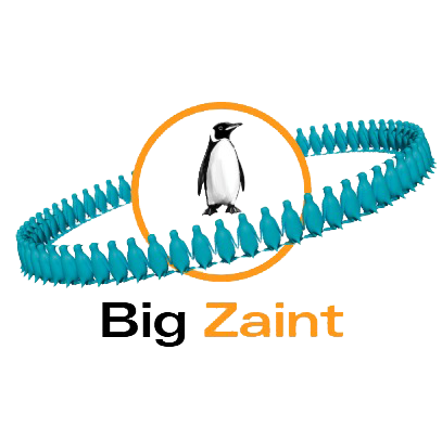 Big Zaint Logo